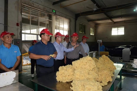 我院韓倉河萬達段景觀工程四個標段通過驗收